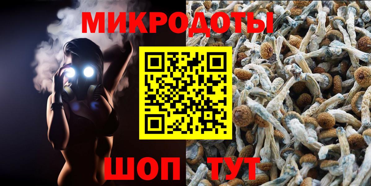 Южноуральск  Галлюциногенные грибы Cubensis  Галлюциногенные грибы прущие грибы  Вход с VPN 